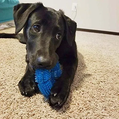 Aduck Durable Dog Squeaky Chew