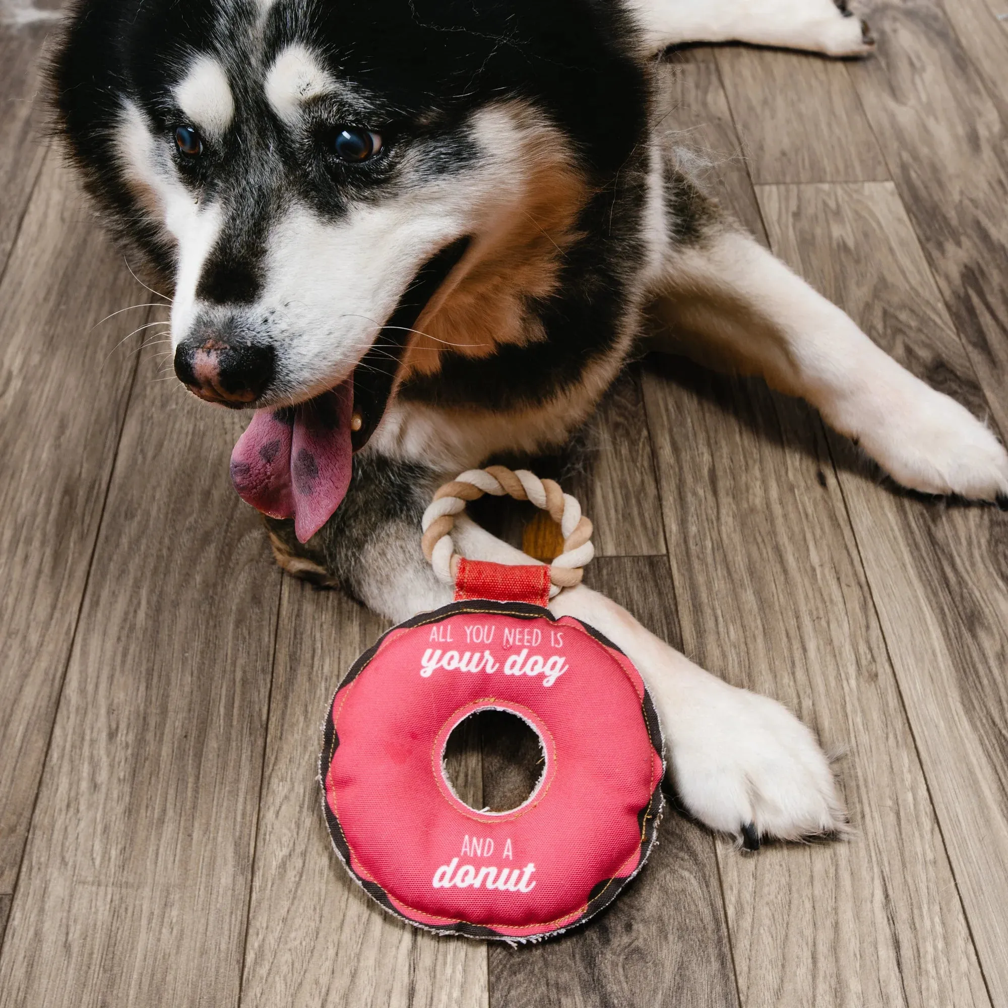 Dog   A Donut - 10.75" Canvas Dog Toy