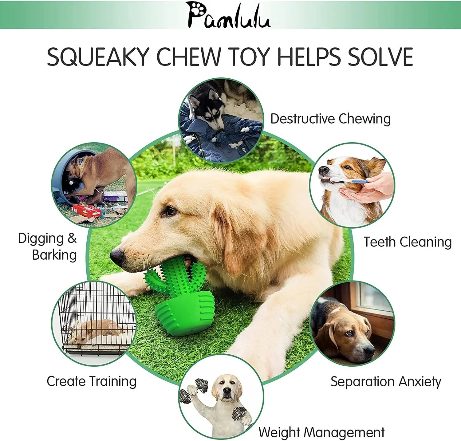 Dog Chew Toys Dog Toothbrush Stick Teeth Cleaning Brush Dental for Small Medium Large Dog, Rubber Dog Squeaky Toys for Aggressive Chewers Cactus Tough Toys Interactive for Training Cleaning Teeth