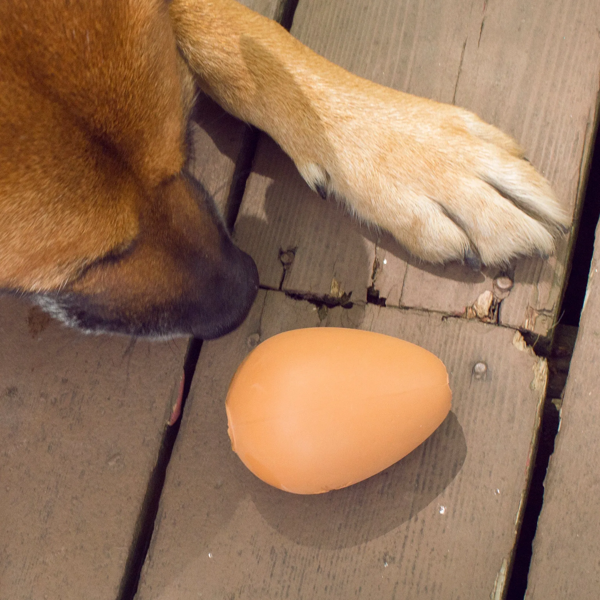Kobe Bouncy Egg Treat Ball