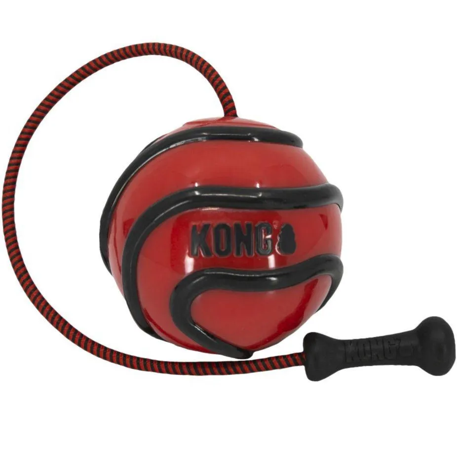 Kong Wavz Bunjiball Dog Toy