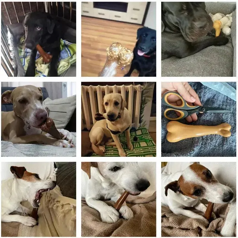 Natural Dog Chew Toy - Bite Resistant Bone