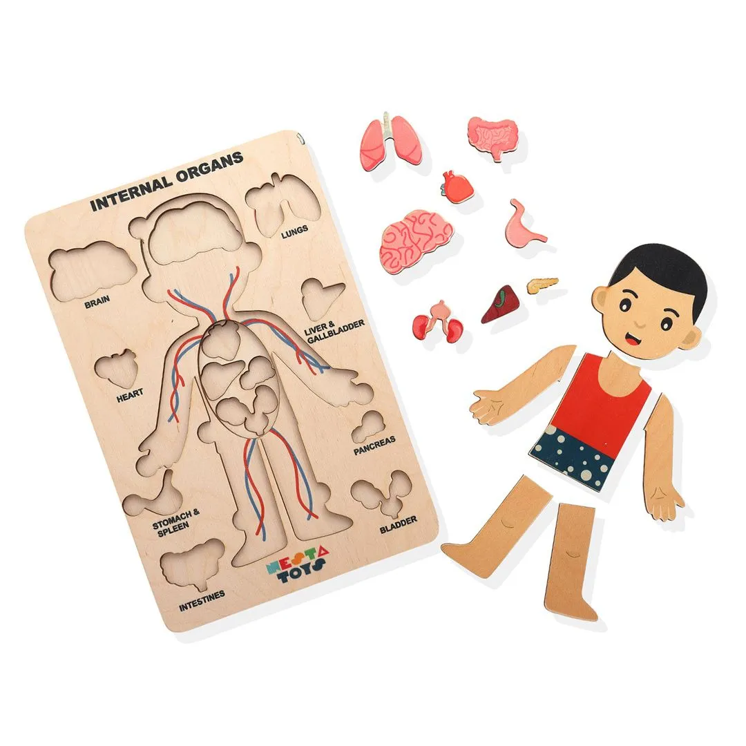 Nesta Toys - Human Anatomy | Internal Organs Puzzle
