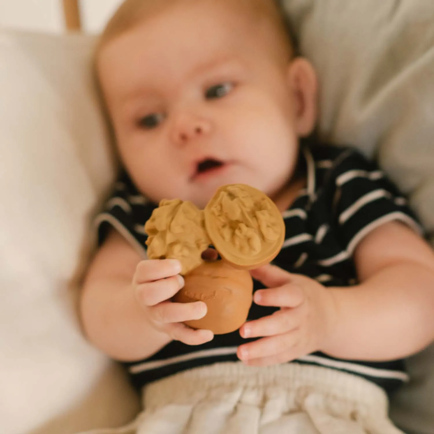 Nutty the Walnut Baby Teether