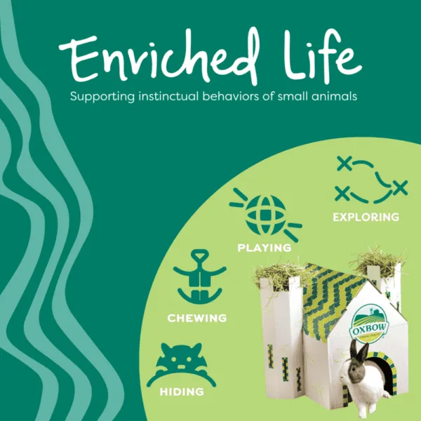 Oxbow Enriched Life - Hay House