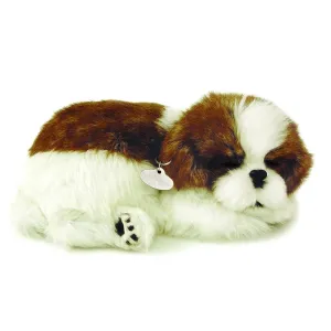 Shih Tzu Soft Bundle
