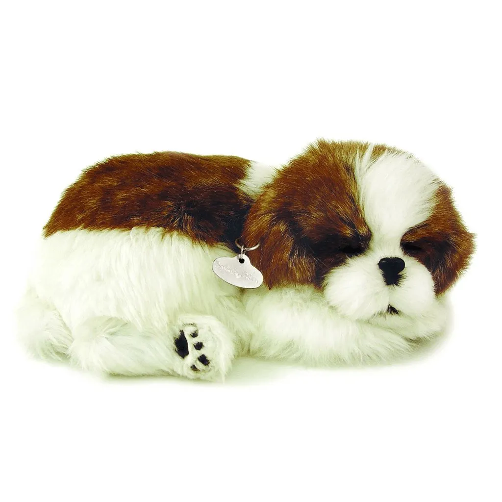 Shih Tzu Soft Bundle