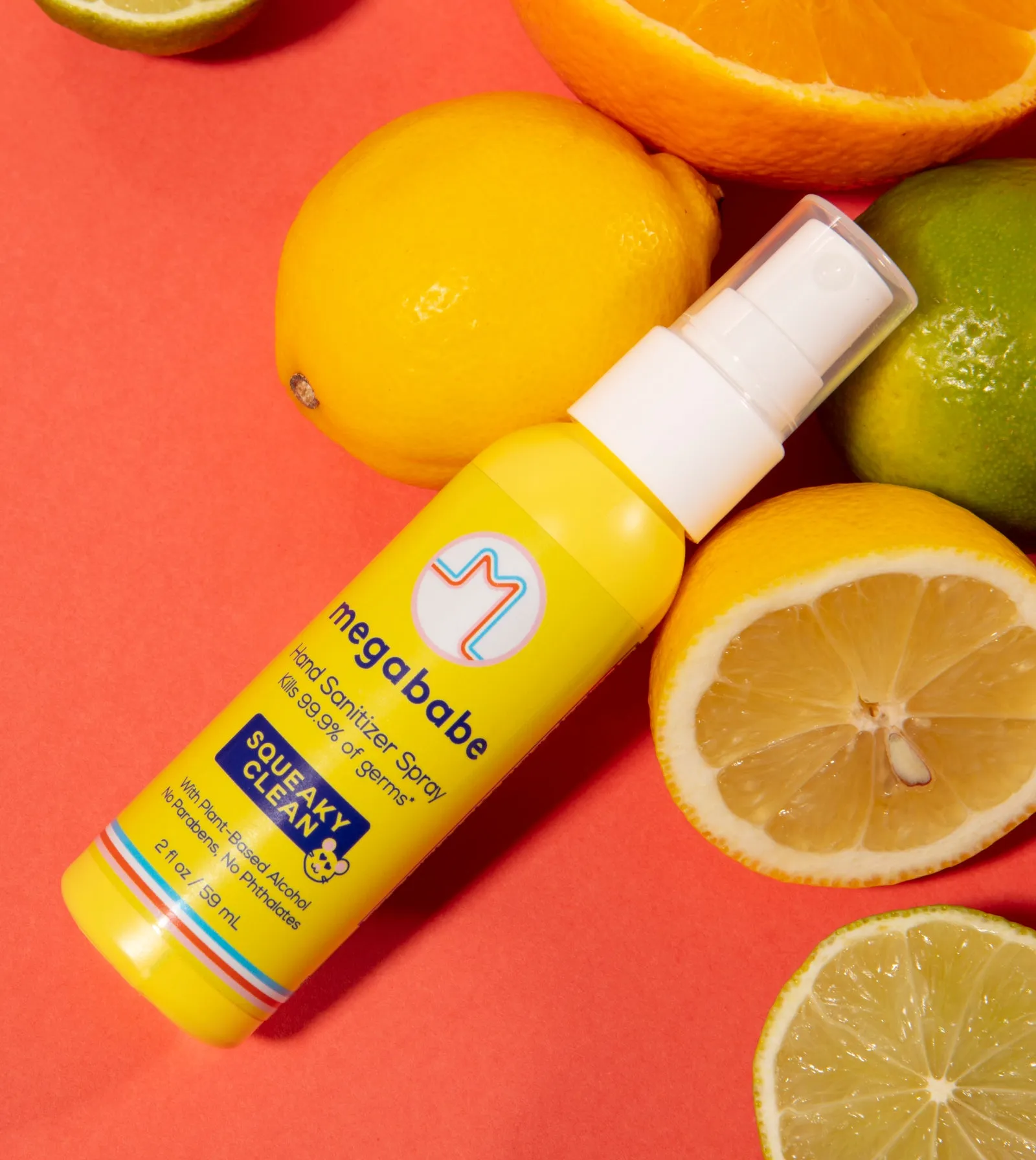 Squeaky Clean Hand Sanitizer Spray
